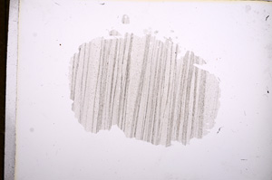 Plane Polarized, E5540