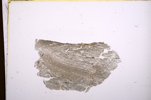 Plane Polarized, E5546