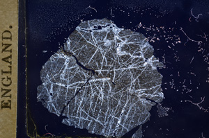 Cross Polarized, E5572