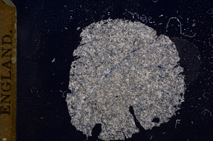 Cross Polarized, E5589