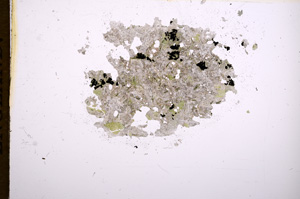 Plane Polarized, E5611