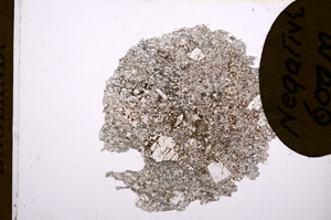 Plane Polarized, E5625