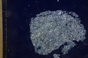 Cross Polarized, E5626