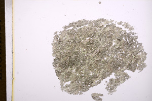 Plane Polarized, E5626