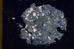 Cross Polarized, E5627