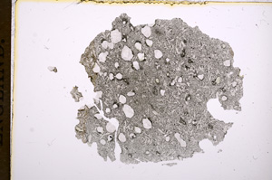 Plane Polarized, E5627