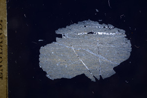 Cross Polarized, E5637