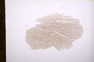 Plane Polarized, E5637