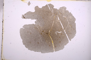 Plane Polarized, E5639
