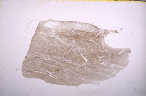 Plane Polarized, E5642