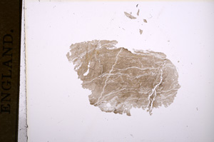 Plane Polarized, E5643