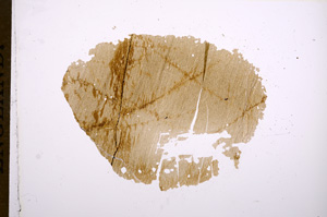 Plane Polarized, E5644