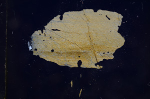Cross Polarized, E5645