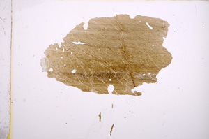 Plane Polarized, E5645