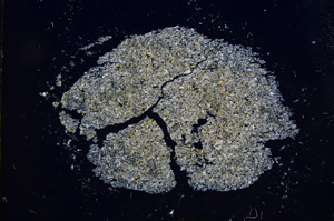 Cross Polarized, E5651