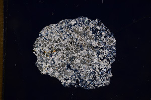 Cross Polarized, E5653