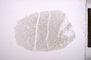 Plane Polarized, E5657