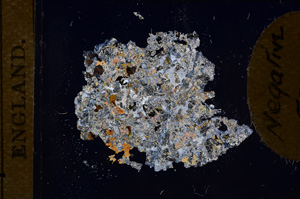 Cross Polarized, E5667