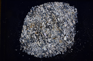 Cross Polarized, E5668