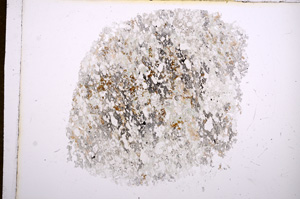 Plane Polarized, E5668