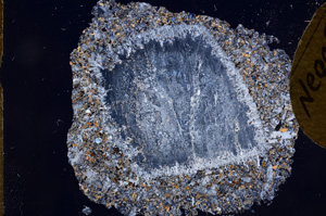 Cross Polarized, E5670