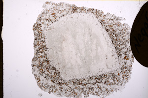 Plane Polarized, E5670