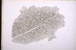 Plane Polarized, E5671