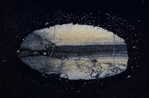 Cross Polarized, E5676