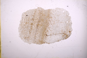 Plane Polarized, E5677