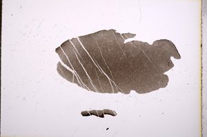 Plane Polarized, E5683