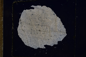 Cross Polarized, E5688