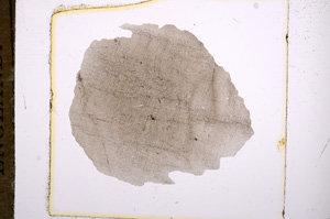 Plane Polarized, E5688