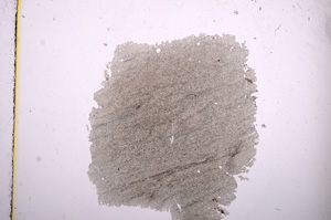 Plane Polarized, E5689