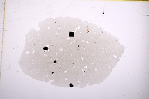 Plane Polarized, E5732