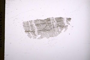 Plane Polarized, E5734