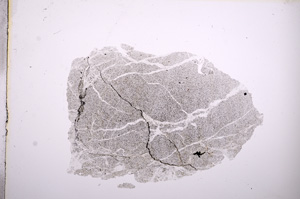 Plane Polarized, E5759