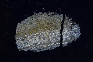 Cross Polarized, E5782