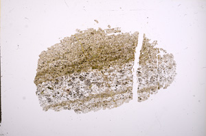 Plane Polarized, E5782