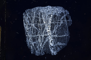 Cross Polarized, E5787