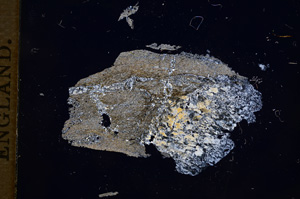 Cross Polarized, E5788