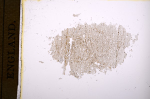 Plane Polarized, E5789