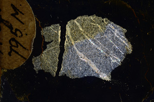 Cross Polarized, E5791