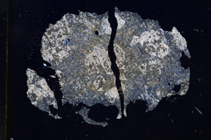 Cross Polarized, E5792