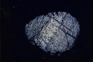 Cross Polarized, E5795