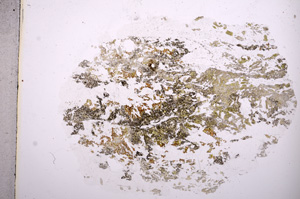 Plane Polarized, E5798