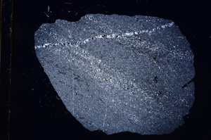 Cross Polarized, E5824