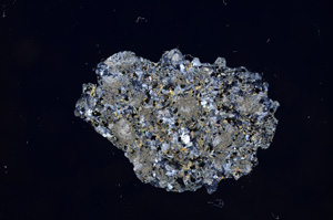 Cross Polarized, E5826