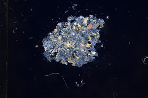 Cross Polarized, E5827