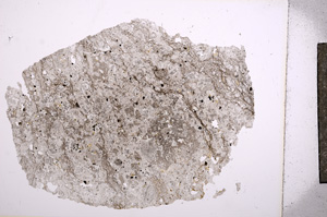 Plane Polarized, E5828