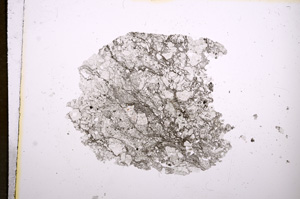 Plane Polarized, E5830